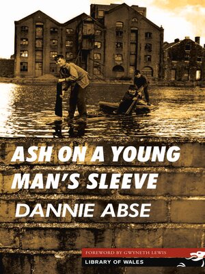 cover image of Ash on a Young Man's Sleeve